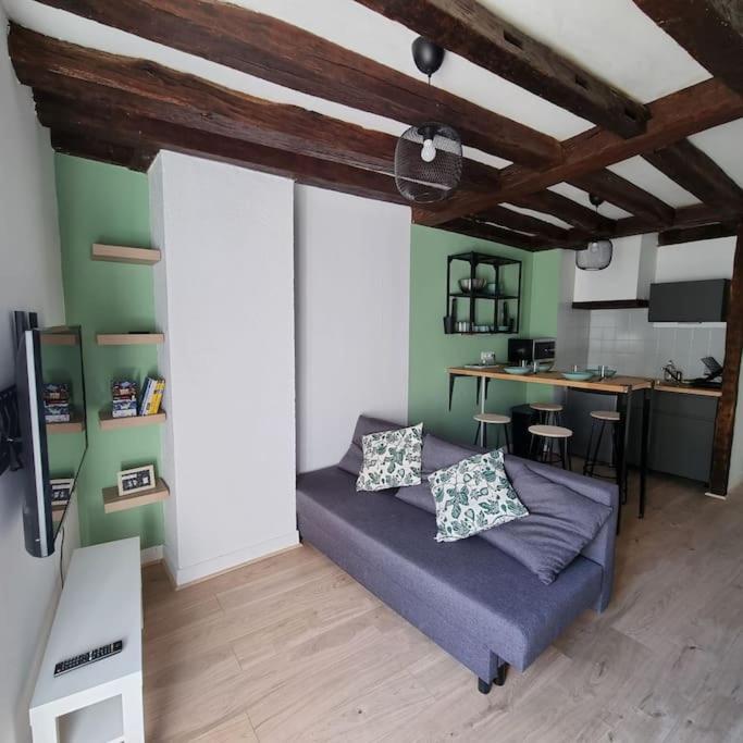 Au Perchoir Duplex Dans Le Centre Historique Apartamento *